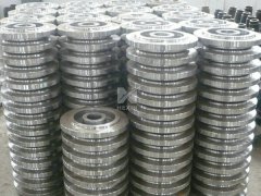 Stainless Steel 316L Flanges