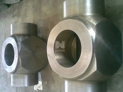 Forged Pipe Fitting