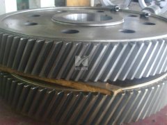 Forged Steel Gear